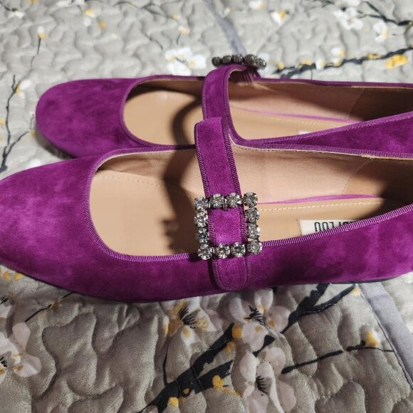 Rare BIBI LOU Ballet Essen Mary Jane Suede Flats Womens Sz 10 MSRP $200 - Picture 1 of 12